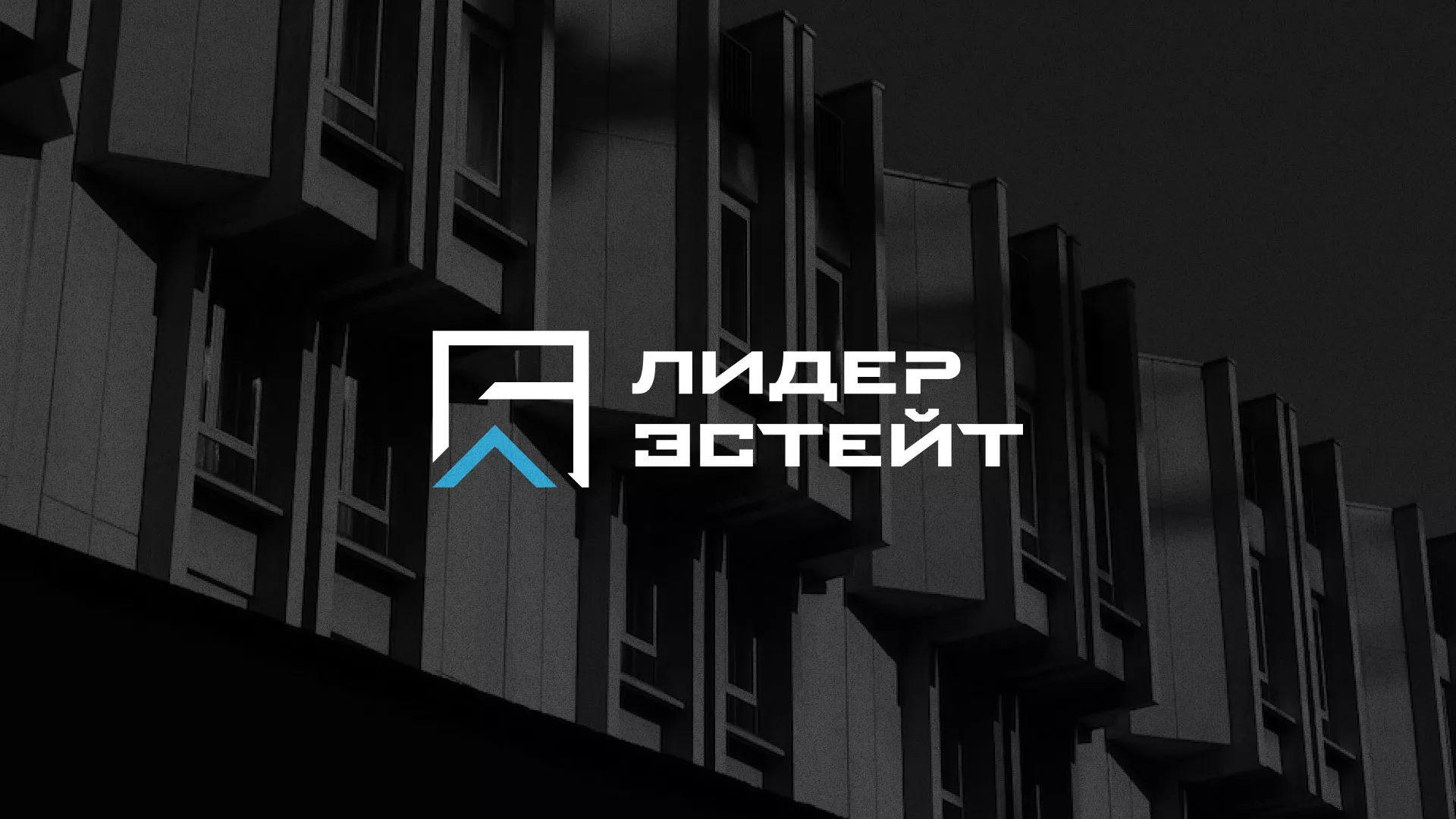 Разработка логотипа агентства недвижимости «Лидер Эстейт» в Усть-Илимске